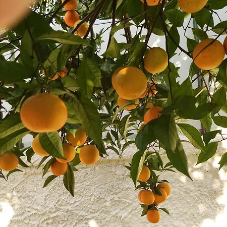 فندق مبيت وإفطار Antoniet