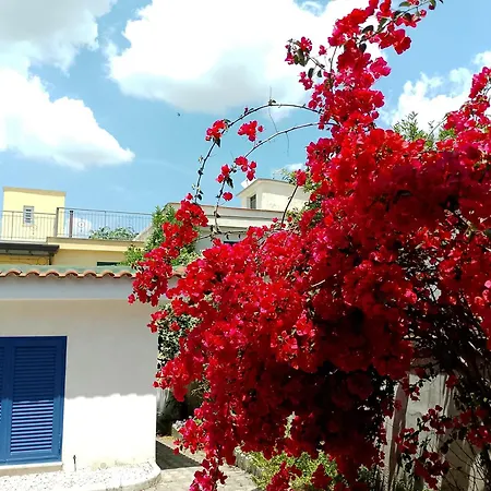 Antoniet לינה וארוחת בוקר נאפולי