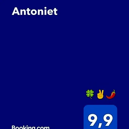 Antoniet Napels