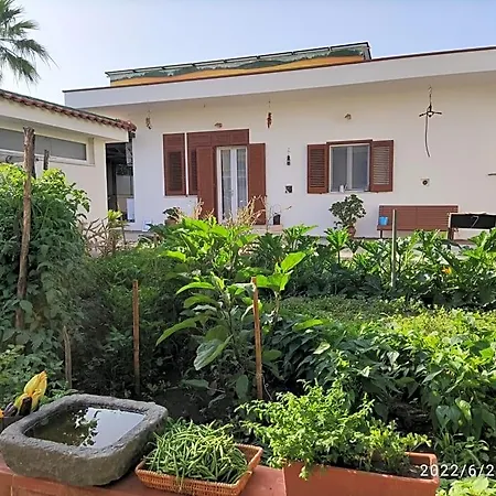 Bed & Breakfast Antoniet