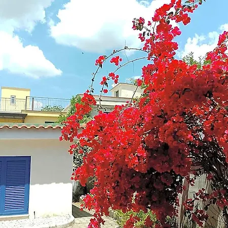 Antoniet Bed & Breakfast 4*