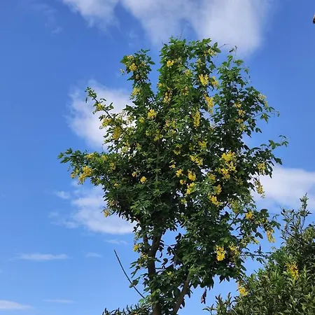 Bed & Breakfast Antoniet 3*