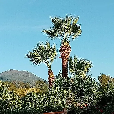 Antoniet Bed & Breakfast 3*