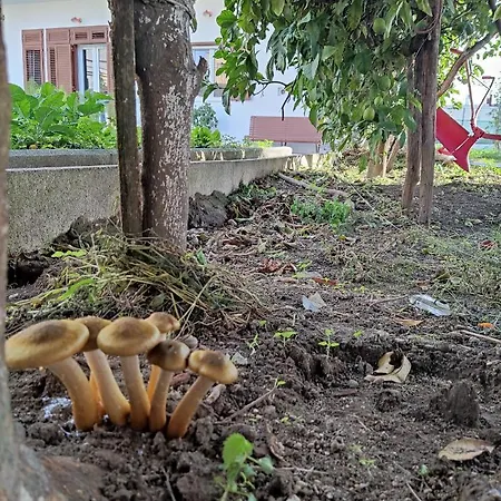 Couette-café Antoniet 3*