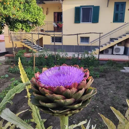 Couette-café Antoniet Naples